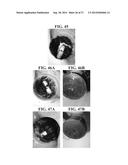 PLANT-BASED COMPOSITIONS AND USES THEREOF diagram and image