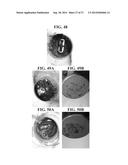 PLANT-BASED COMPOSITIONS AND USES THEREOF diagram and image