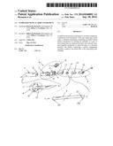 STABILIZED MUSICAL HORN INSTRUMENT diagram and image