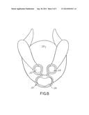 ELASTIC POULTRY BINDER CONSTRUCTION AND METHOD OF USE FOR BINDING POULTRY diagram and image