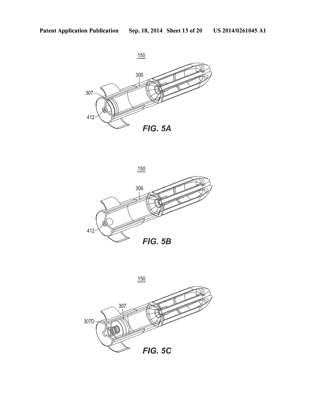 Remote Treatment System - diagram, schematic, and image 14