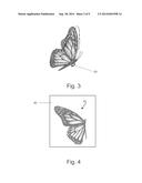 Decorative Winged Insects and Methods of Making Decorative Winged Insects diagram and image