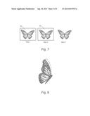 Decorative Winged Insects and Methods of Making Decorative Winged Insects diagram and image