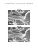 Tissue Products Incorporating Nanoporous Cellulose Fiber diagram and image