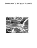 Tissue Products Incorporating Nanoporous Cellulose Fiber diagram and image