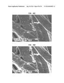 Tissue Products Incorporating Nanoporous Cellulose Fiber diagram and image