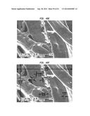 Tissue Products Incorporating Nanoporous Cellulose Fiber diagram and image