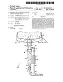 Recirculating Cooling System For Energy Delivery Device diagram and image