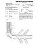 PREVENTION OF WIRELINE DAMAGE AT A DOWNHOLE WINDOW diagram and image