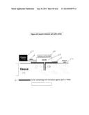 Cannulas, Collars for Implantable Devices, and Corresponding Systems and     Methods diagram and image