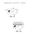 Customized Microwave Energy Distribution Utilizing Multiport Chamber diagram and image