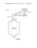 WINE STORAGE AND DISPENSING DEVICE WITH AIR REMOVAL SYSTEM diagram and image