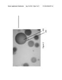 Preparation of Quantum Dot Beads Having a Silyl Surface Shell diagram and image