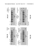 INTEGRATED MULTI-CHIP MODULE OPTICAL INTERCONNECT PLATFORM diagram and image