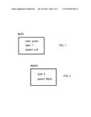 SYSTEM AND METHOD FOR EFFICIENTLY VIEWING A STYLE diagram and image