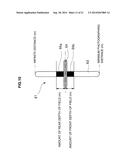 DISPLAY APPARATUS diagram and image