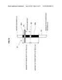 DISPLAY APPARATUS diagram and image