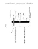 DISPLAY APPARATUS diagram and image