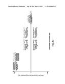 MAGNETIC RECORDING MEDIUM, SERVO SIGNAL RECORDING APPARATUS AND METHOD OF     PRODUCING MAGNETIC RECORDING MEDIUM diagram and image