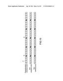 MAGNETIC RECORDING MEDIUM, SERVO SIGNAL RECORDING APPARATUS AND METHOD OF     PRODUCING MAGNETIC RECORDING MEDIUM diagram and image