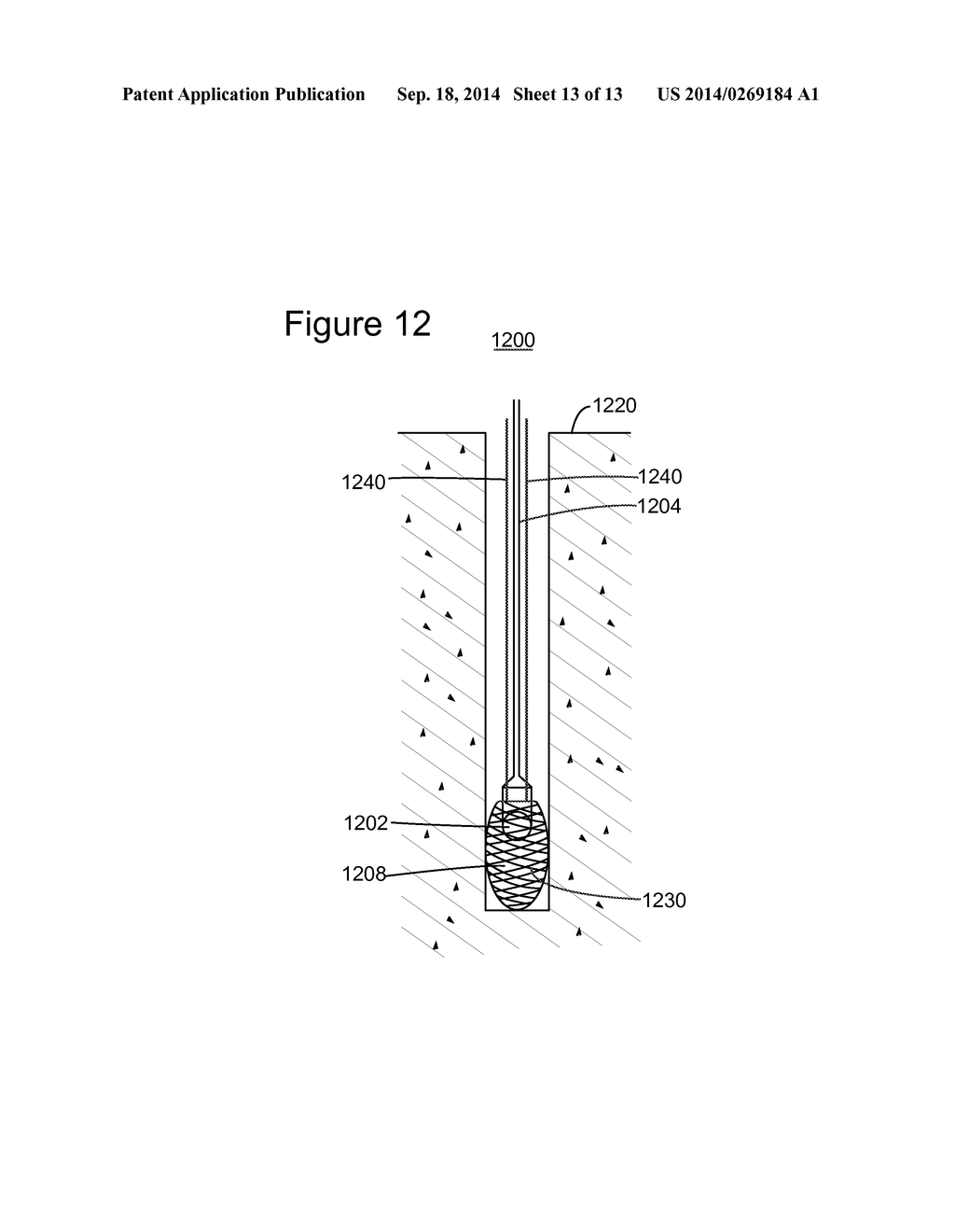 LAND HYDROPHONE AND METHOD - diagram, schematic, and image 14