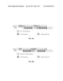 SYSTEMS AND METHODS FOR TIMESLOT ASSIGNMENT IN A WIRELESS NETWORK diagram and image