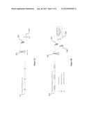 Apparatus and Method for Time Domain ICIC with Muting Pattern Comprising     Fixed and Optional Parts diagram and image