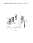 SYSTEMS AND METHODS FOR STRUCTURAL SENSING diagram and image