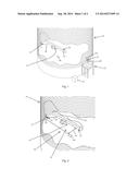 DEVICES AND METHODS FOR USE IN BIN SWEEP OPERATIONS diagram and image