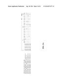 MONOCLONAL ANTIBODIES TO EGFR, AND USES THEREFOR diagram and image