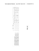 MONOCLONAL ANTIBODIES TO EGFR, AND USES THEREFOR diagram and image