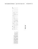 MONOCLONAL ANTIBODIES TO EGFR, AND USES THEREFOR diagram and image