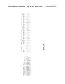 MONOCLONAL ANTIBODIES TO EGFR, AND USES THEREFOR diagram and image