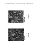 MONOCLONAL ANTIBODIES TO EGFR, AND USES THEREFOR diagram and image