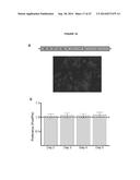 OPTOGENETIC CONTROL OF INPUTS TO THE VENTRAL TEGMENTAL AREA diagram and image