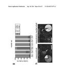 OPTOGENETIC CONTROL OF INPUTS TO THE VENTRAL TEGMENTAL AREA diagram and image