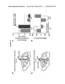 OPTOGENETIC CONTROL OF INPUTS TO THE VENTRAL TEGMENTAL AREA diagram and image