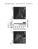 OPTOGENETIC CONTROL OF INPUTS TO THE VENTRAL TEGMENTAL AREA diagram and image