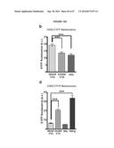 OPTOGENETIC CONTROL OF INPUTS TO THE VENTRAL TEGMENTAL AREA diagram and image