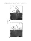 OPTOGENETIC CONTROL OF INPUTS TO THE VENTRAL TEGMENTAL AREA diagram and image