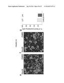 OPTOGENETIC CONTROL OF INPUTS TO THE VENTRAL TEGMENTAL AREA diagram and image