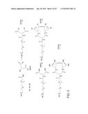 TARGETED POLYMERIC CONJUGATES AND USES THEREOF diagram and image