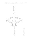 TARGETED POLYMERIC CONJUGATES AND USES THEREOF diagram and image