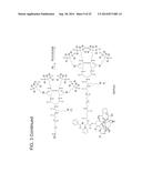 TARGETED POLYMERIC CONJUGATES AND USES THEREOF diagram and image