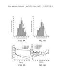 TARGETED POLYMERIC CONJUGATES AND USES THEREOF diagram and image