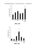 TARGETED POLYMERIC CONJUGATES AND USES THEREOF diagram and image