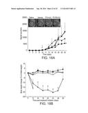 TARGETED POLYMERIC CONJUGATES AND USES THEREOF diagram and image