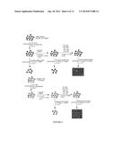 Chiral compounds of varying conformational rigidity and methods of     synthesis diagram and image