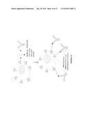 Chiral compounds of varying conformational rigidity and methods of     synthesis diagram and image