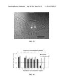 POLYMERIC DEPOTS FOR LOCALIZATION OF AGENT TO BIOLOGICAL SITES diagram and image